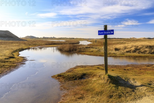 The footpaths in the dune landscape at the Postbake have been transformed into lakes by the groundwater, Norderney, Lower Saxony, Germany, Europe