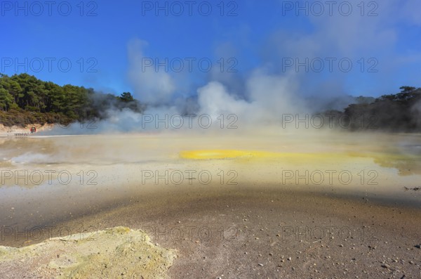 Waiotapu Thermal Wonderland, Waiotapu, Rotorua, Bay of Plenty, North Island, New Zealand, Oceania