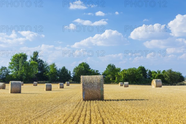 Straw bales on a harvested grain field, stubble field, Nossen, Saxony, Germany, Europe