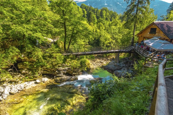 Wooden bridge and restaurant above radovna river flowing through vintgar gorge near bled, slovenia, during a sunny summer day