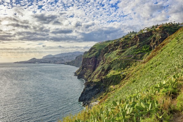 Ponta do Garajau viewpoint at the statue of Christ, Cristo Rei statue, cliffs, tourist attraction, Garajau, municipality of Santa Cruz, Madeira, Portugal, Europe