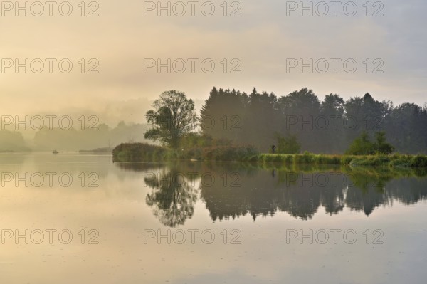Morning atmosphere at the Flachsee, trees reflected in the water, Rottenschwil, Canton Aargau, Switzerland, Europe