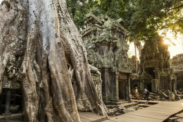Ta Prohm, Angkor Wat, Angkor, UNESCO World Heritage Site, Siem Reap, Cambodia, Indochina, Southeast Asia, Asia