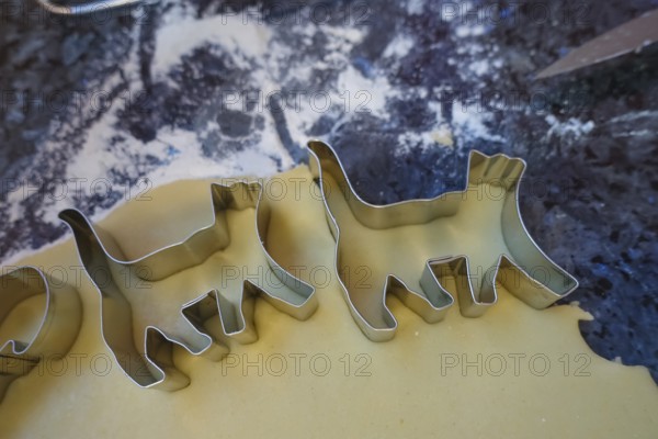 Swabian cuisine, Swabian Christmas biscuits, preparation of cookie cutters, shortbread biscuits, cat figures, cutting out raw dough with moulds, typical Swabian, baking, flour, Christmas biscuits, sweet biscuits, Gutsle, Bredle, baked goods, from the oven, traditional cuisine, food photography, studio, Germany, Europe