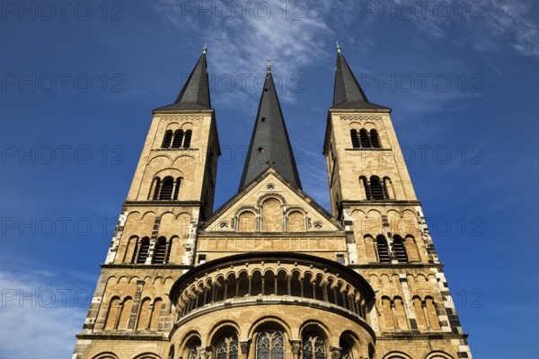 Bonn Minster, also known as the Minster Basilica, the main Catholic church and a landmark of Bonn, North Rhine-Westphalia, Germany, Europe