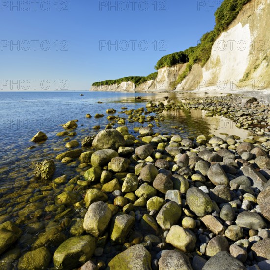 Large stones on the shore of the Baltic Sea in front of the chalk cliffs of the steep coast, Jasmund National Park, Rügen Island, Mecklenburg-Western Pomerania, Germany, Europe