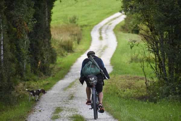 Hunter on a bicycle with rucksack and rifle, accompanied by his hunting dog, on a gravel road near Siegsdorf, Chiemgau, Bavaria, Germany, Europe