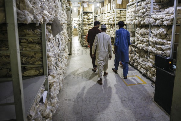 Anwar Khawaja Industries PVT. LTD produces footballs for the Bundesliga, among others. Sialkot, 23.08.2024. Photographed on behalf of the Federal Ministry for Economic Cooperation and Development