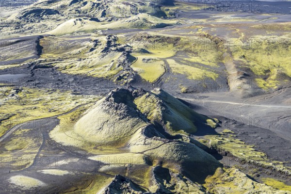 Moss-covered Laki crater or Lakagígar, series of craters, interior highlands of Iceland, Suðurland, Iceland, Europe