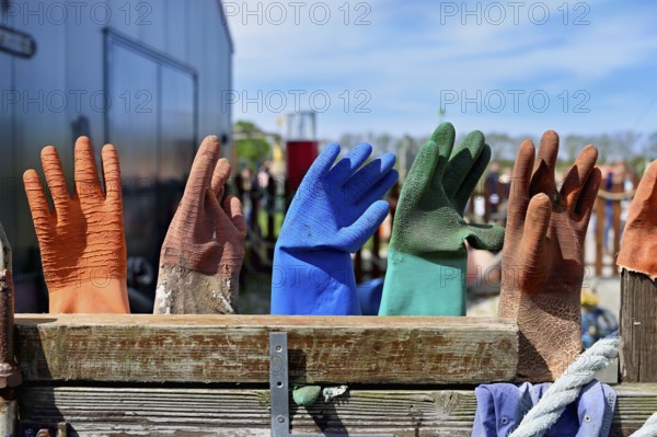 Gloves fished out of the sea by beachcombers, Maritime and Beachcomber Museum Flora, the world's largest museum of flotsam and jetsam, De Koog, Holland, Netherlands