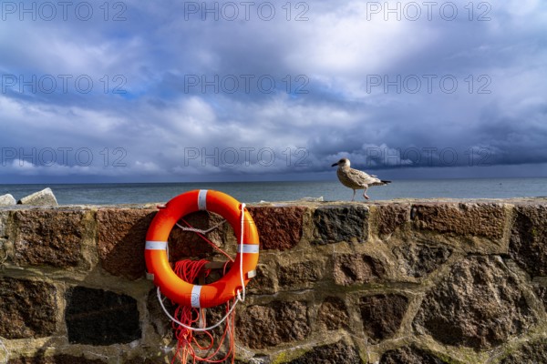 The city harbour of Sassnitz, island of Rügen, pier, harbour dam, dark rain clouds, lifebuoy, seagull, Mecklenburg-Western Pomerania, Germany, Europe