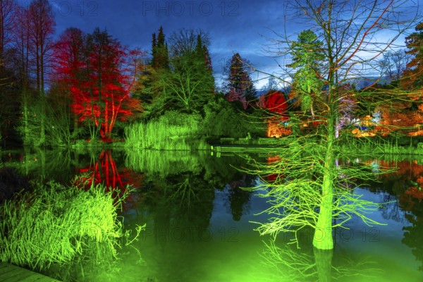 Parkleuchten, event in winter, in the Grugapark in Essen, many different light installations, across the park, attract many thousands of visitors, North Rhine-Westphalia, Germany, Europe