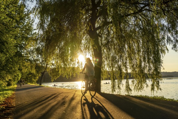 Cycling on Lake Baldeney, around 14 kilometres around the Ruhr reservoir, summer evening on the eastern shore, Essen, North Rhine-Westphalia, Germany, Europe