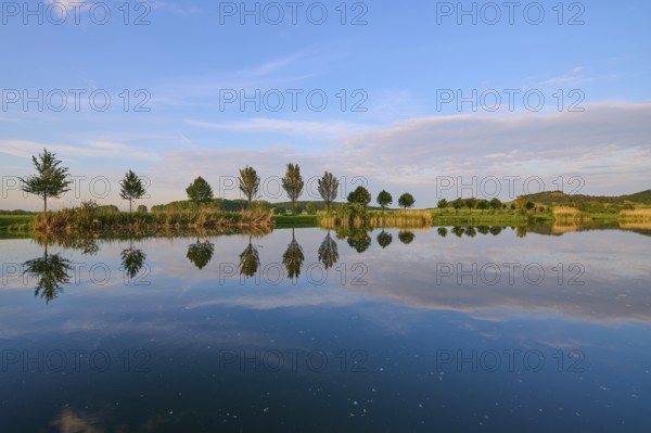 Lake in spring with row of trees and reflection, Drei Gleichen, Ilm-Kreis, Thuringia, Germany, Europe