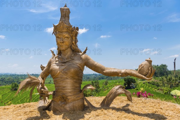 Statue of Dewi Sri, goddess of rice, rice goddess, Jatiluwih rice terraces, Bali Indonesia
