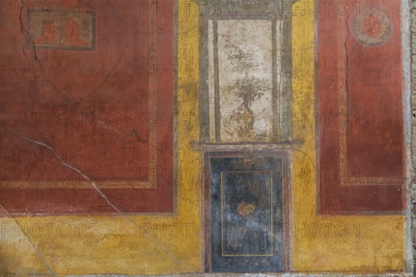 Close-up of reddish brown, blue and white frescoes on yellow wall of old residential building at the ancient ruins of Pompeii, Campania region, Italy, Europe