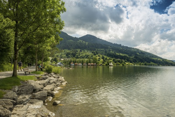 Bühl, Großer Alpsee, Immenstadt, Oberallgäu, Allgäu, Swabia, Bavaria, Germany, Europe