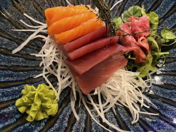 Mixed sashimi sushi platter, raw fish, salmon, tuna, ginger, wasabi, Stuttgart, Baden-Württemberg, Germany, Europe