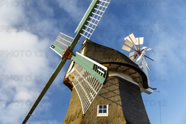 Dutch windmill Selden Rüst, Norderney, Lower Saxony, Germany, Europe