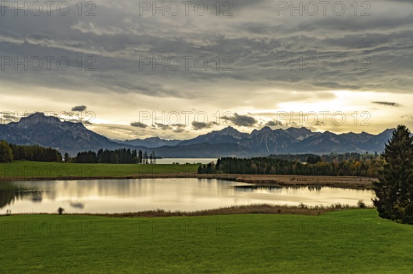 Lakescape at Forggensee near Schwangau, Allgäu, Bavaria, Germany, Europe