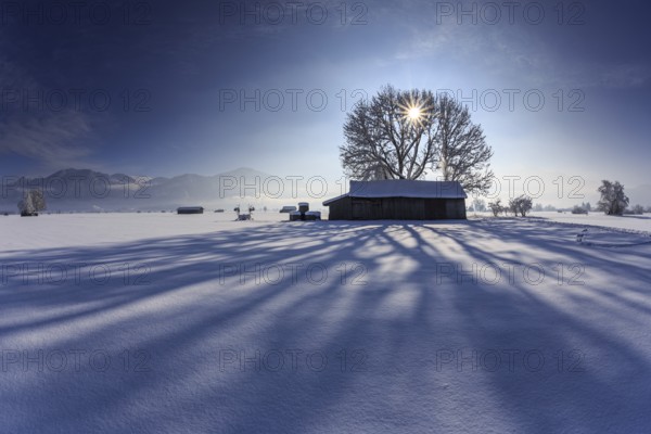 Hut with long shadows in the backlight in front of mountains, snow, winter, sunny, Schlehdorf, Alpine foothills, Upper Bavaria, Bavaria, Germany, Europe
