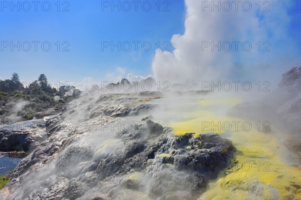 Prince of Wales and Pohutu geysers erupting, Te Puia Thermal Valley, Rotorua, Bay of Plenty, North Island, New Zealand, Oceania
