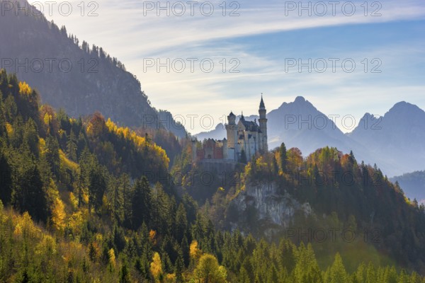 Fairytale castle on a hill surrounded by colourful autumn forests and mountains, Neuschwanstein, Schwangau, Ostallgäu, Allgäu, Swabia, Upper Bavaria, Bavaria, Germany, Europe