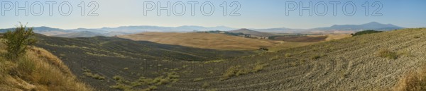 Typical Tuscan landscape in Val d'Orcia with hills, trees, fields, farmhouses and cypresses in summer, Tuscany, Italy, Europe