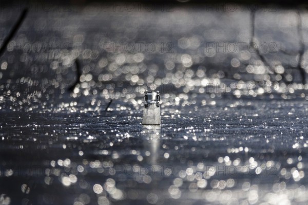 Discarded glass bottle in a frozen lake, winter, Germany, Europe