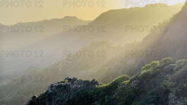 Fog and typical ravine, Barranco, La Gomera, Canary Islands, Spain, Europe