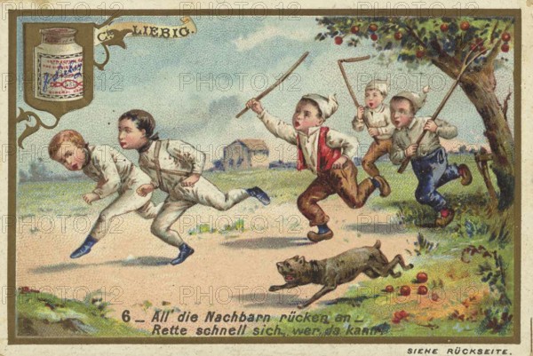 Picture series Children as fruit thieves, all the neighbours are moving in, save yourself quickly who can, Liebig picture, digitally restored reproduction of a collector's picture from around 1900, public domain, exact date unknown, children running in a rural setting, pursued by a dog while carrying sticks and playing in a meadow