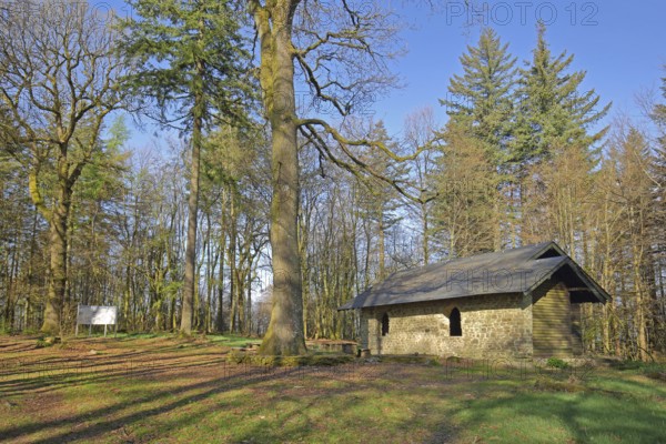 Shelter from the Celtic ring wall, Celtic, forest, Hunnenring, Otzenhausen, Nonnweiler, Hunsrück, Saarland, Germany, Europe