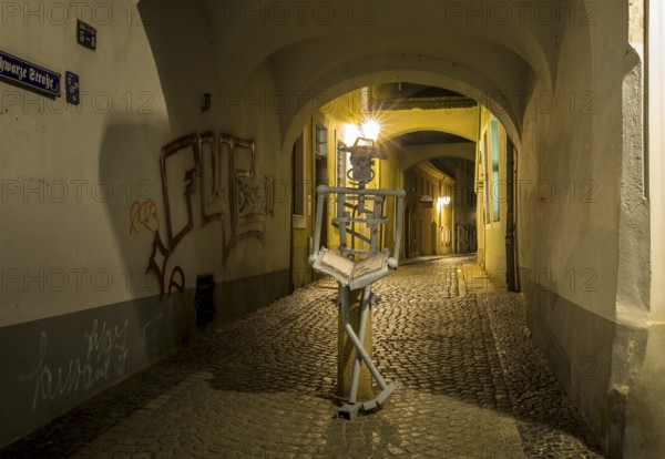 Passageway from Brüderstraße into Schwarze Straße with abstract figure of a reader at night, Görlitz, Saxony, Germany, Europe