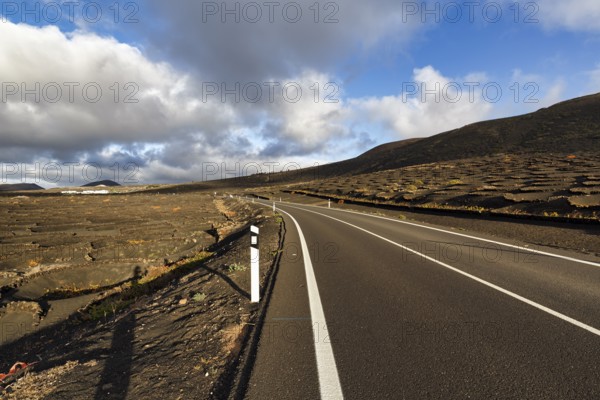 Empty country road through wine-growing area, typical landscape with volcanic mountains, La Geria, Lanzarote, Spain, Europe