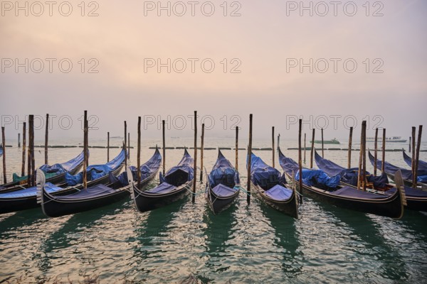 View from 'Colonna di San Marco e San Teodoro' on the gondolas lying in the water before sunrise in Venice on a foggy morning in winter, Italy, Europe