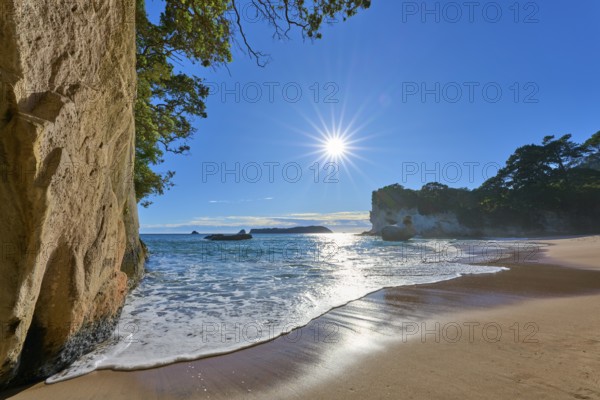 Beach with sunlight and trees in the background, Cathedral Cove, Coromandel, Canterbury, North Island, New Zealand, Oceania