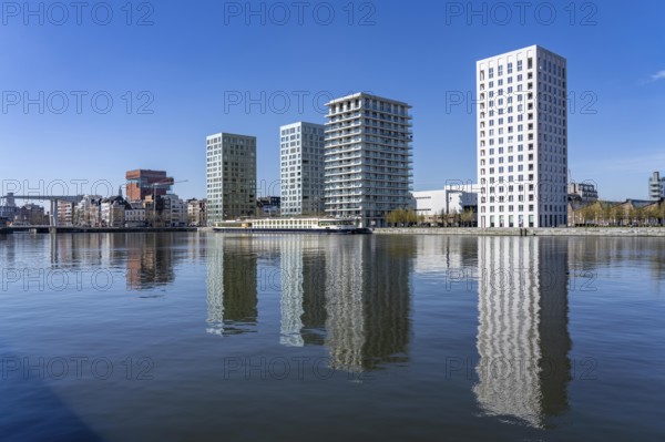 Kattendijkdok, harbour basin, high-rise residential buildings, apartment buildings, old harbour district, Het Eilandje of Antwerp, formerly disreputable, dingy district, now modern, hip district, with lots of culture, living space, leisure, gastronomy, trendy district, Flanders, Belgium, Europe