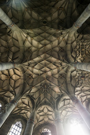 Interior view, Gothic vault, St Michael's Church, Schwäbisch Hall, Old Town, Kocher Valley, Kocher, Hohenlohe, Franconia, Baden-Württemberg, Germany, Europe