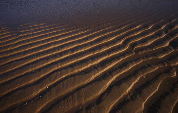 Sand ripples, wavy lines in the sand, structure, sandy beach, Meia Praia beach, Lagos, Atlantic Ocean, evening light, Algarve, Portugal, Europe