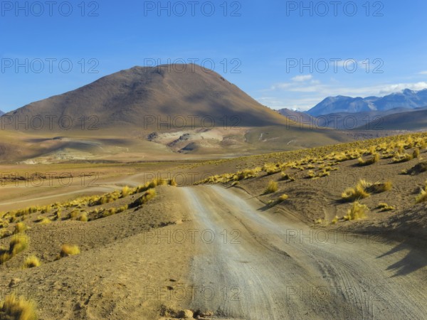 Highland landscape, Atacama Desert, Chile, South America