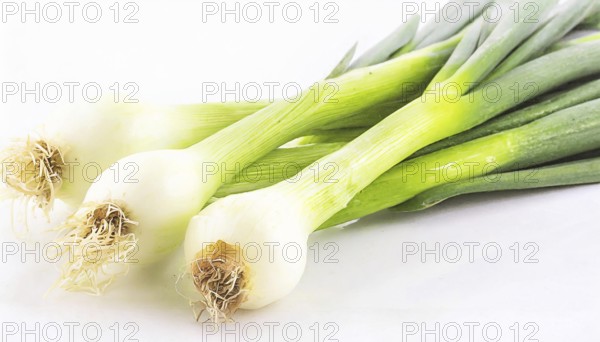 Vegetable, spring onion or spring onion, also known as winter onion, Allium fistulosum