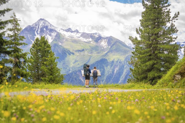 Two hikers in a summer meadow with mountain view, surrounded by blooming flowers, Penken, Zillertal. Austria