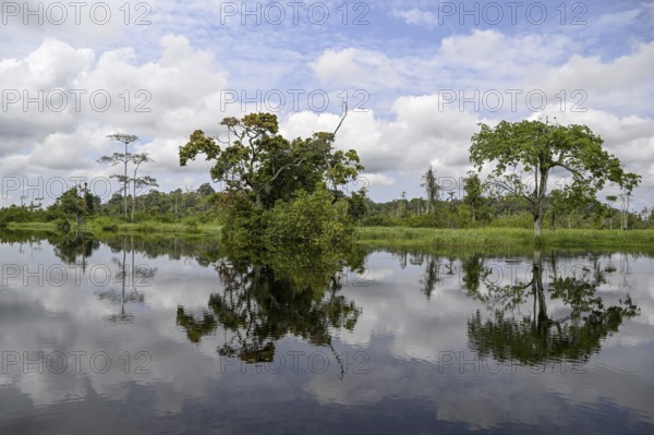 Waterscape on the Akaka River, Loango National Park, Parc National de Loango, Ogooué-Maritime Province, Gabon, Africa