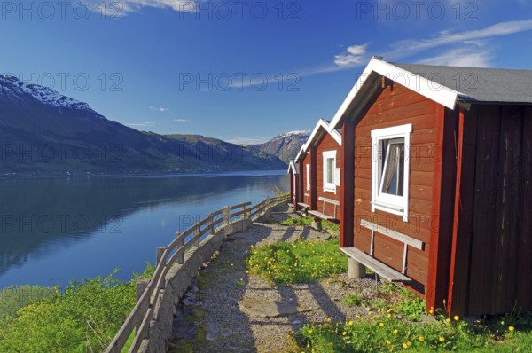 Red wooden cabins on a campsite, view of the fjord and mountains, Hardangerfjord, Fylke Vestland, Norway, Europe
