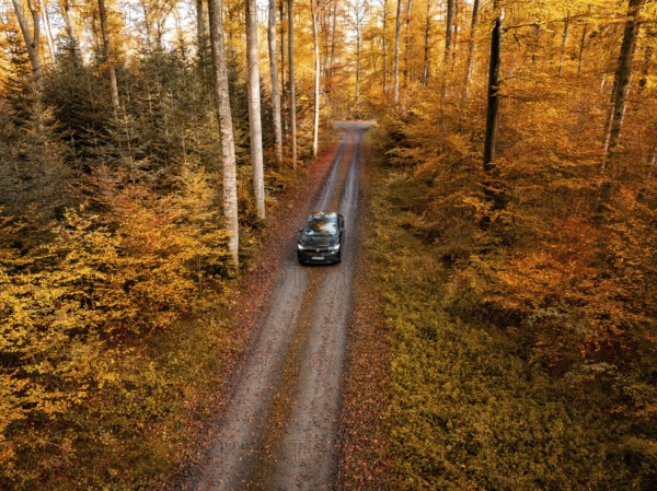 Car driving along a narrow path through a colourful autumnal forest, electric car, VW ID5, Gechingen, Black Forest, Germany, Europe