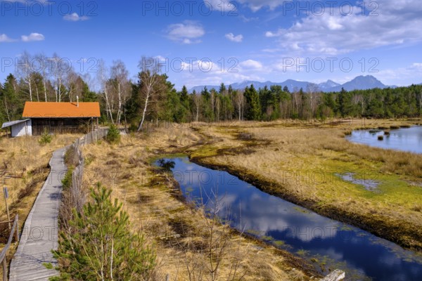 Nature discovery trail, wet moorland, peat extraction, Nicklheimer Filzen, Nickelheim, Upper Bavaria, Bavaria, Germany, Europe