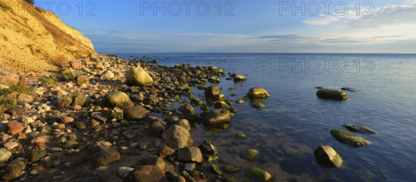 Cliffs and boulders on the coast of the Baltic Sea in the evening light, Reddevitzer Höft, Mönchgut peninsula, Rügen island, Mecklenburg-Western Pomerania, Germany, Europe