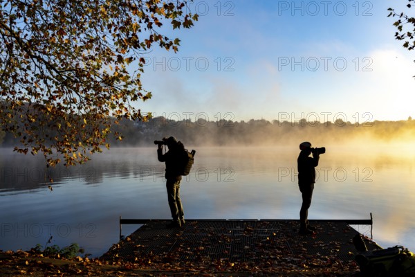 Autumnal colours at the Platanen Allee, Hardenberg Ufer, lakeside path at Lake Baldeney, near Haus Scheppen, in Essen, photographers, sunrise North Rhine-Westphalia, Germany, Europe