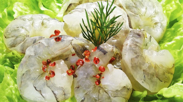 Some raw shrimps, prawns, decorated on lettuce leaves with dill and Pink Pepper berries, red pepper, schinus berries, studio shot