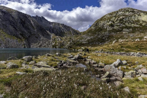 Lake Sassolo, Lago di Sassolo, behind Ticino mountains, Sambuco valley, Vale Sambuco, near Fusio, Lavizzara, Canton Ticino, Switzerland, Europe